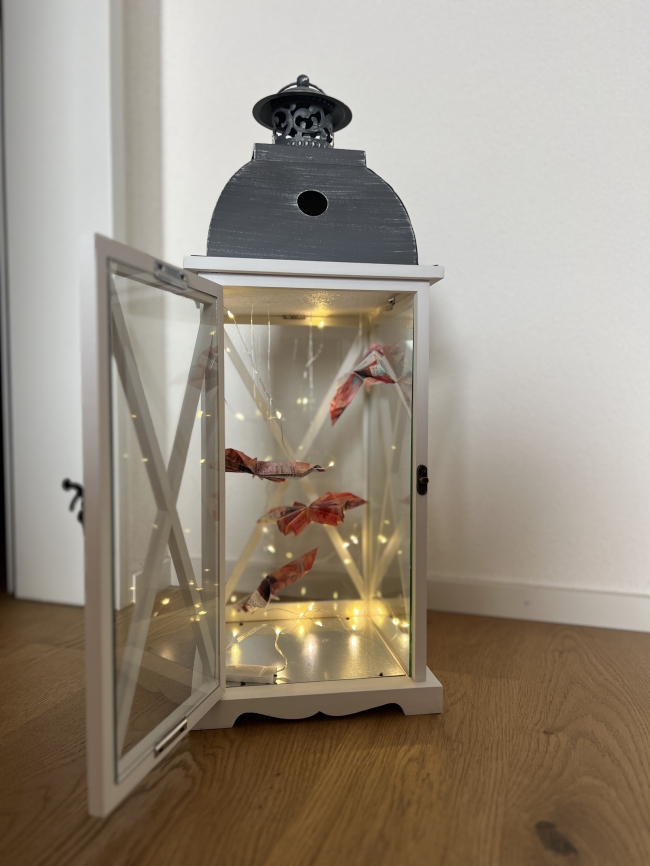 LED-Laterne mit Geldschmetterling